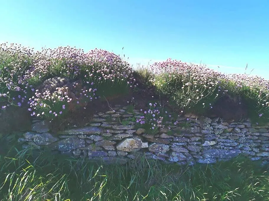 Un Amour De Maison Le Conquet
